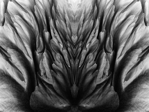 Parallel II - BN - I #2