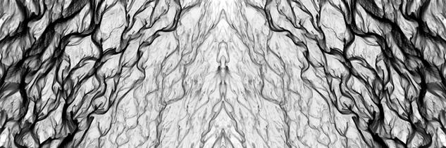 Parallel I - BN #02