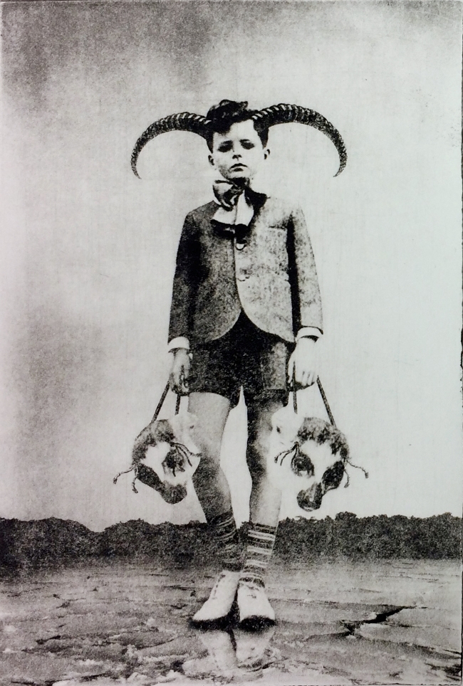 Jaco Putker